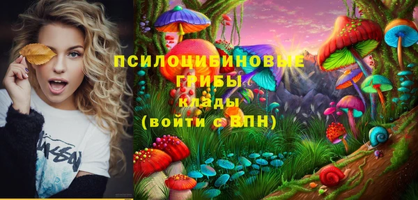 герыч Снежногорск