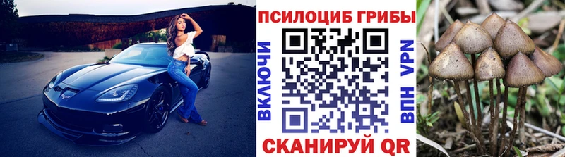 купить  цена  Шахунья  Псилоцибиновые грибы мухоморы 